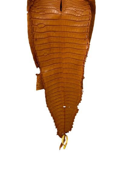 30 cm Grade 1/2 Buttercup Matte Farm-Raised American Alligator Leather - Tag: FL22-0030297