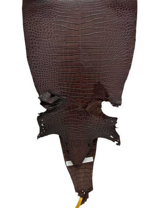 30 cm Grade 3/4 Chocolate Matte Farm Raised American Alligator Leather - Tag: FL22-0030179