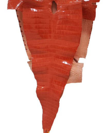 58 cm Grade 2/3 Mandarina Glazed Farm-Raised American Alligator Leather - Tag: FL14-0004082