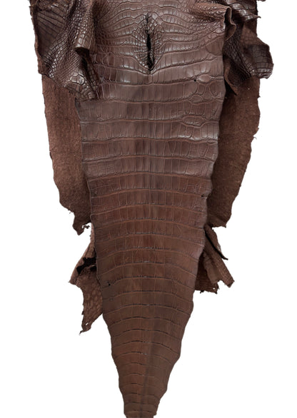 54 cm Grade 3/4 Chocolate Matte Wild American Alligator Leather - Tag: MS24-0000751