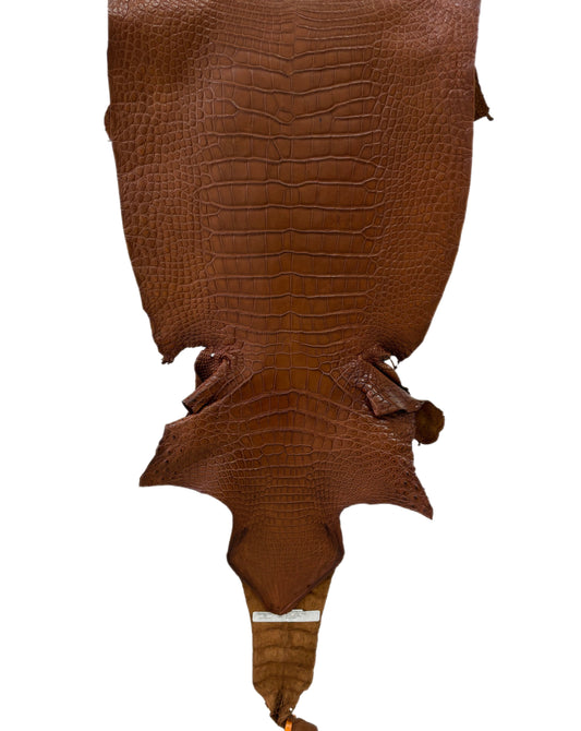 41 cm Grade 2/3 Cigar Matte Wild American Alligator Leather - Tag: LA22-0004191