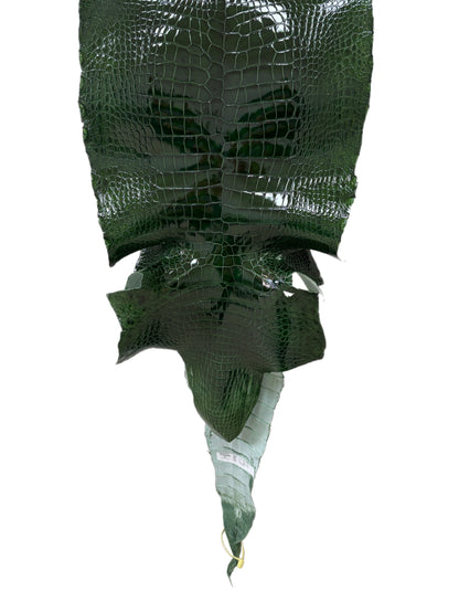40 cm Grade 2/3 Forest Green Glazed Wild American Alligator Leather - Tag: LA16-0026697