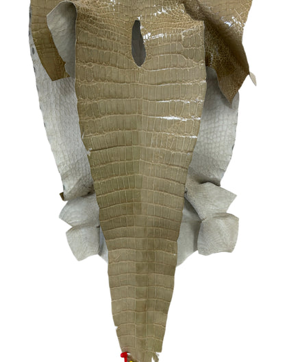 42 cm Grade 4/5 Ash Glazed Wild American Alligator Leather - Tag: ITCC-0539969