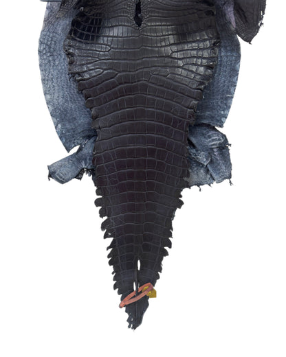 38 cm Grade 3/4 Navy Blue Matte Farm Raised American Alligator Leather - Tag: GA14-0021584