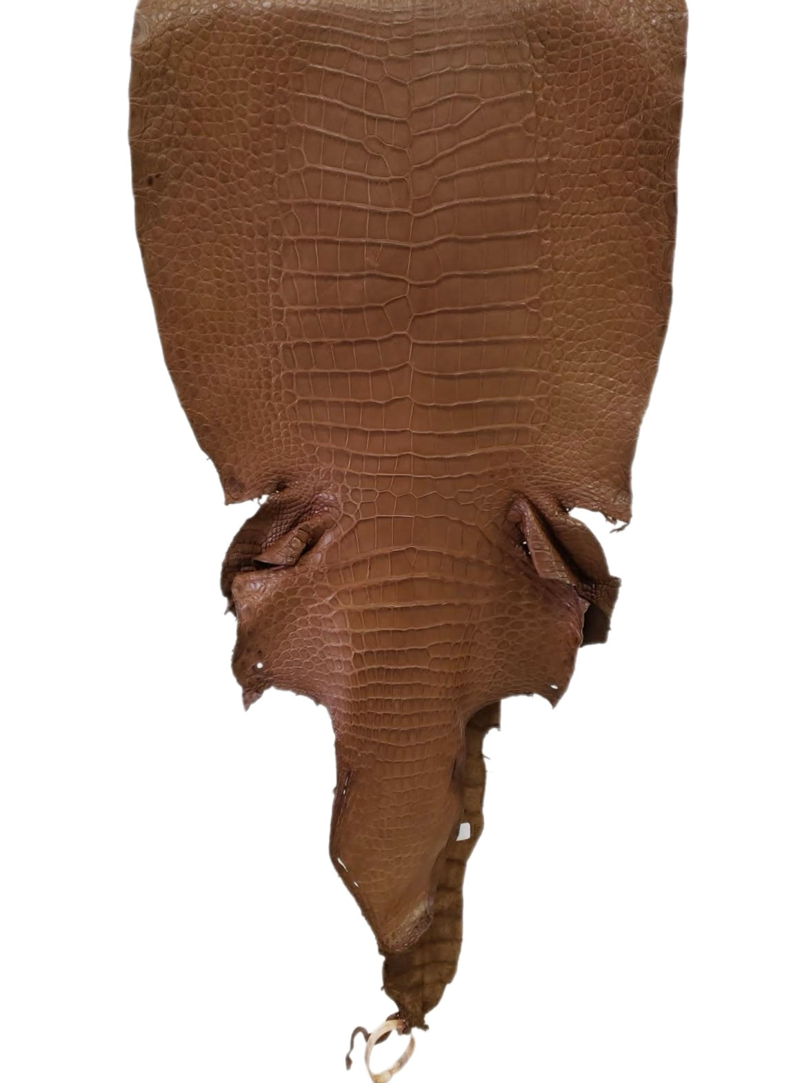 38 cm Grade 3/4 Kango Tabac Matte Wild American Alligator Leather - Tag: LA23-0004848