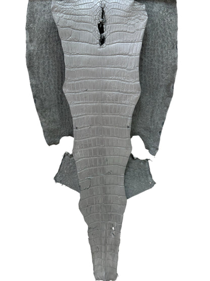 38 cm Grade 3/4 Silver Metallic Wild American Alligator Leather - Tag: LA23-0028578