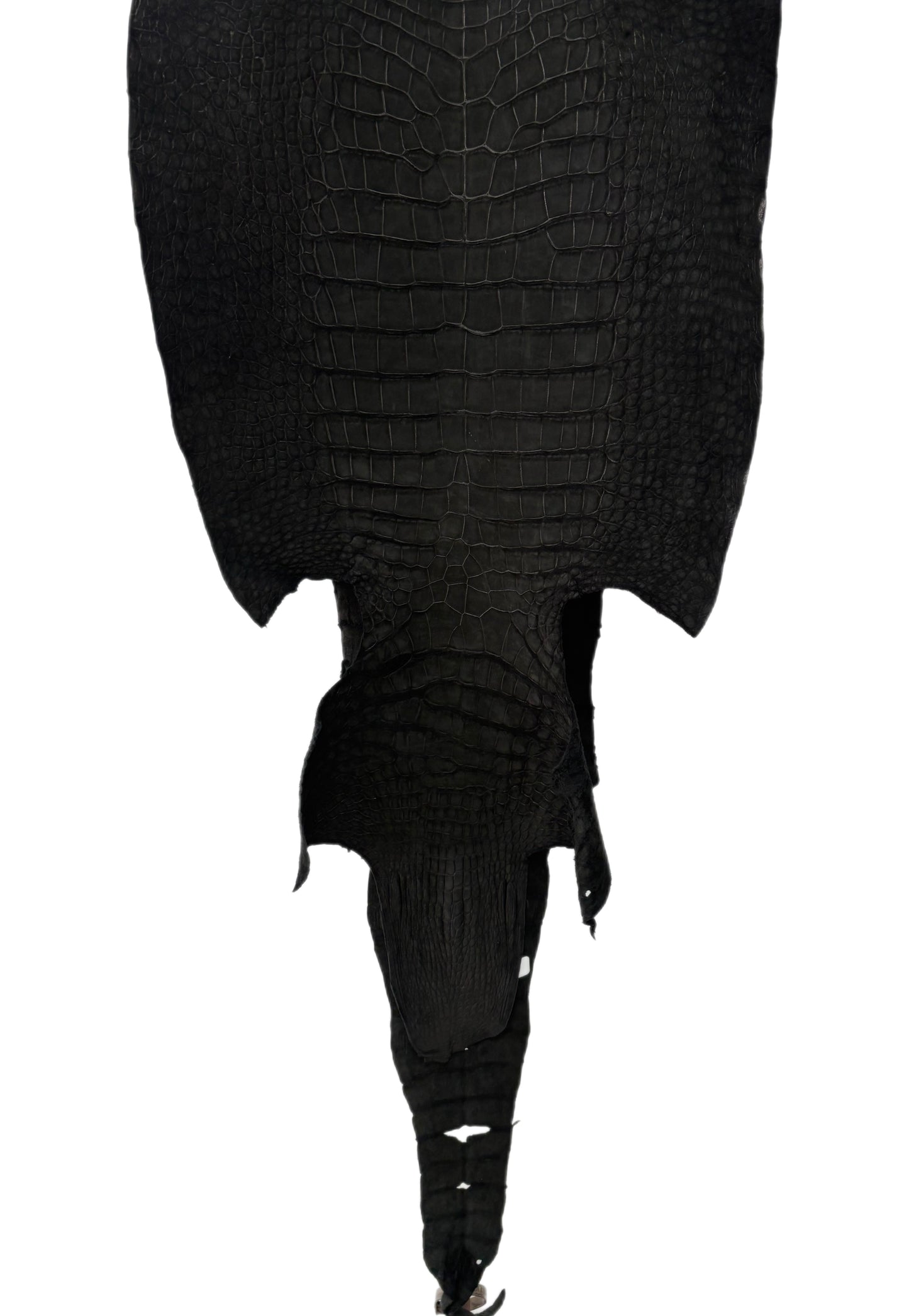 39 cm Grade 2/3 Black Nubuck Wild American Alligator Leather - Tag: LA23-0003072