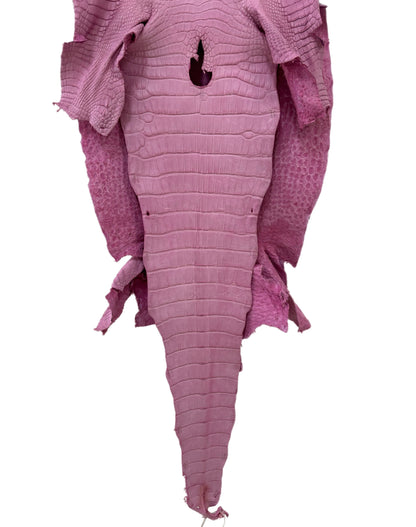 40 cm Grade 2/3 Cotton Candy Matte Wild American Alligator Leather - Tag: LA23-0040318