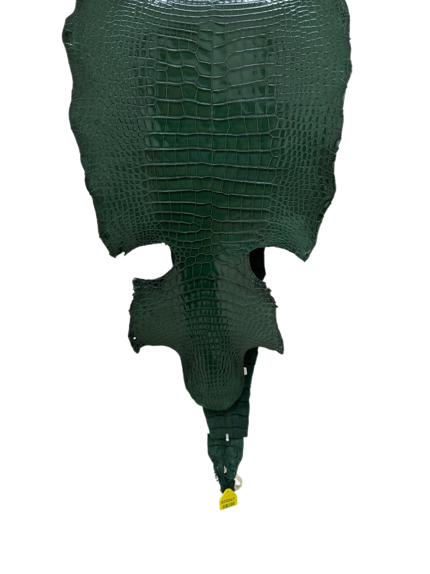 38 cm Grade 1/2 Forest Green Millennium Wild American Alligator Leather - Tag: LA17-0036630