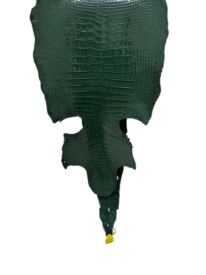 38 cm Grade 1/2 Forest Green Millennium Wild American Alligator Leather - Tag: LA17-0036630