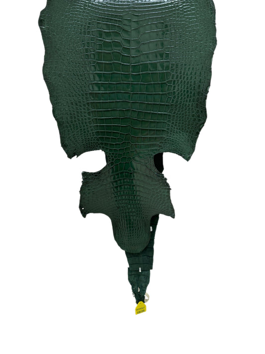 38 cm Grade 1/2 Forest Green Millennium Wild American Alligator Leather - Tag: LA17-0036630