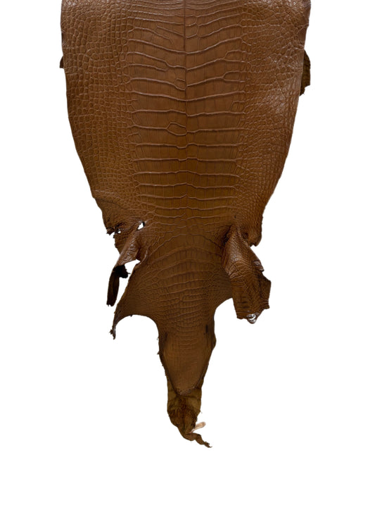 39 cm Grade 2/3 Kango Tabac Matte Wild American Alligator Leather - Tag: LA23-0016874