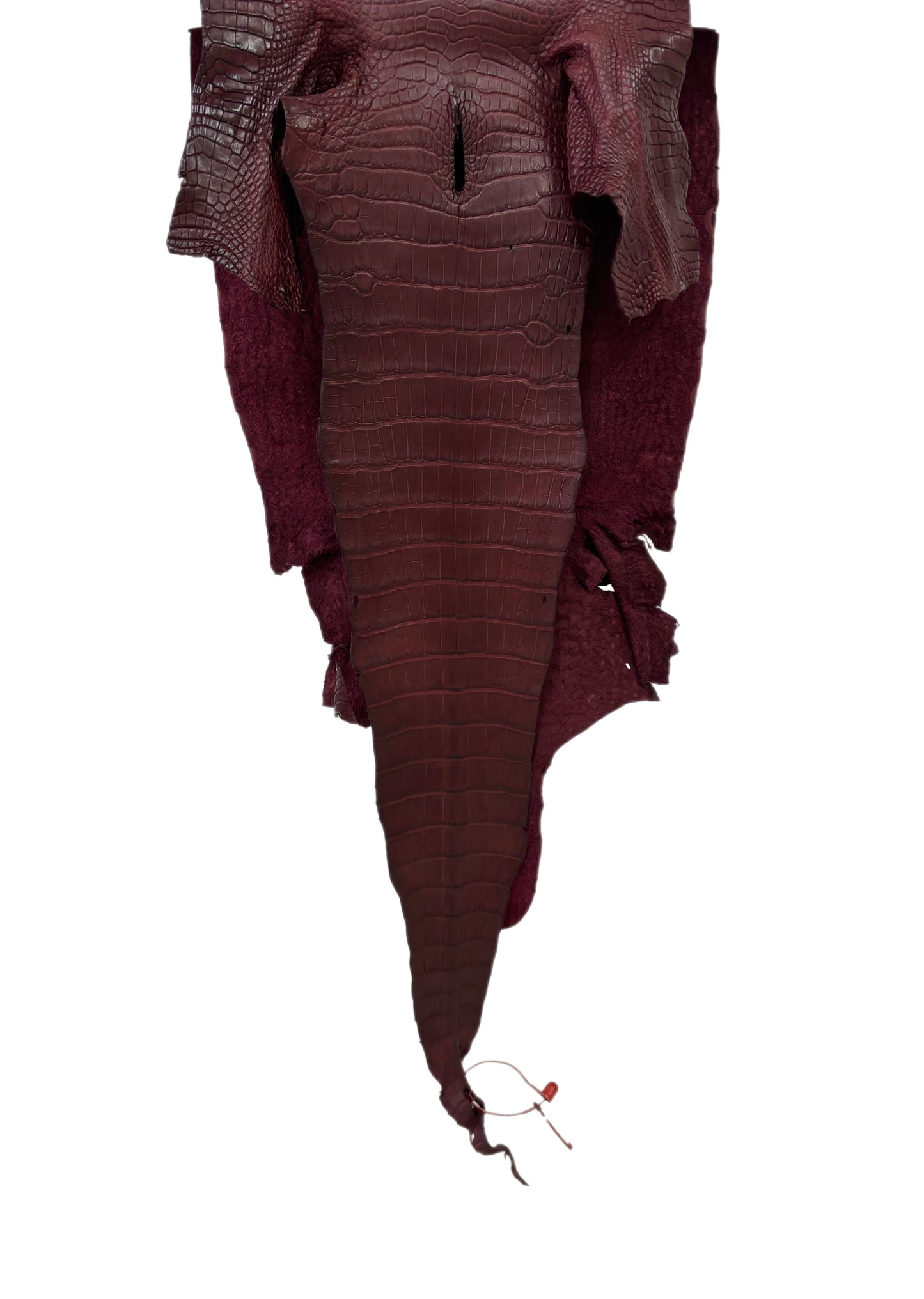 33 cm Grade 1/2 Bordeaux Matte Wild American Alligator Leather - Tag: LA18-0037371