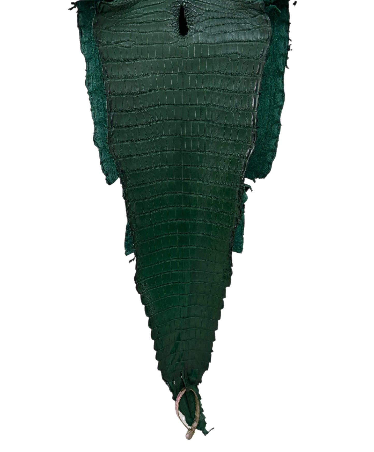 25 cm Grade 3/4 Forest Green Matte Farm Raised American Alligator Leather - Tag: FL21-0024868