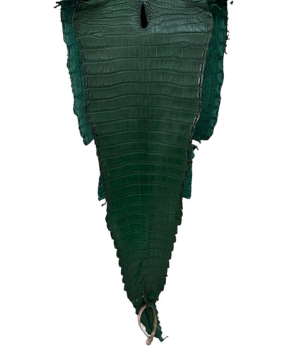 25 cm Grade 3/4 Forest Green Matte Farm Raised American Alligator Leather - Tag: FL21-0024868