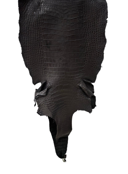 48 cm Grade 3/4 Black Matte Wild American Alligator Leather - Tag: LA23-0030276