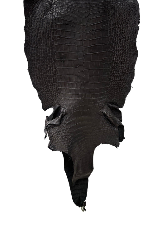 48 cm Grade 3/4 Black Matte Wild American Alligator Leather - Tag: LA23-0030276