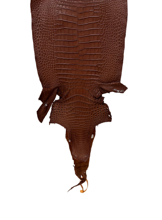 28 cm Grade 2/3 Rodeo Matte Farm-Raised American Alligator Leather - Tag: FL17-0036972