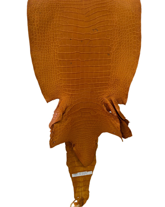 41 cm Grade 4/5 Buttercup Matte Wild American Alligator Leather - Tag: LA23-0051760