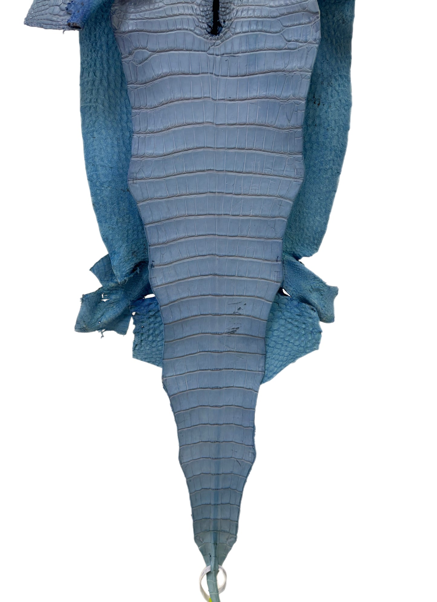 35 cm Grade 1/2 Carolina Blue Matte Farm-Raised American Alligator Leather - Tag: FL17-0036830