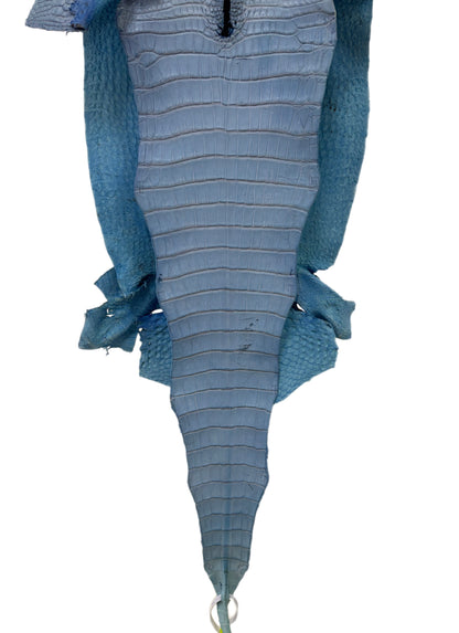 35 cm Grade 1/2 Carolina Blue Matte Farm-Raised American Alligator Leather - Tag: FL17-0036830