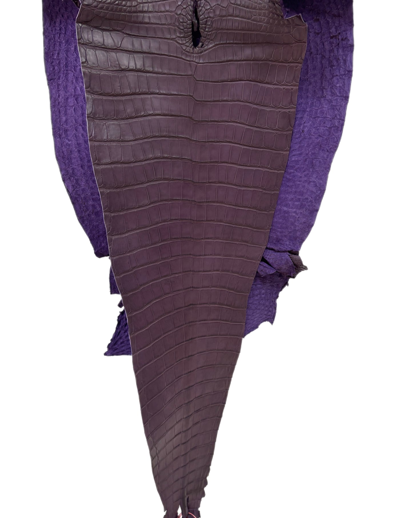 40 cm Grade 2/3 Aubergine Matte Farm-Raised American Alligator Leather - Tag: FL18-0034741
