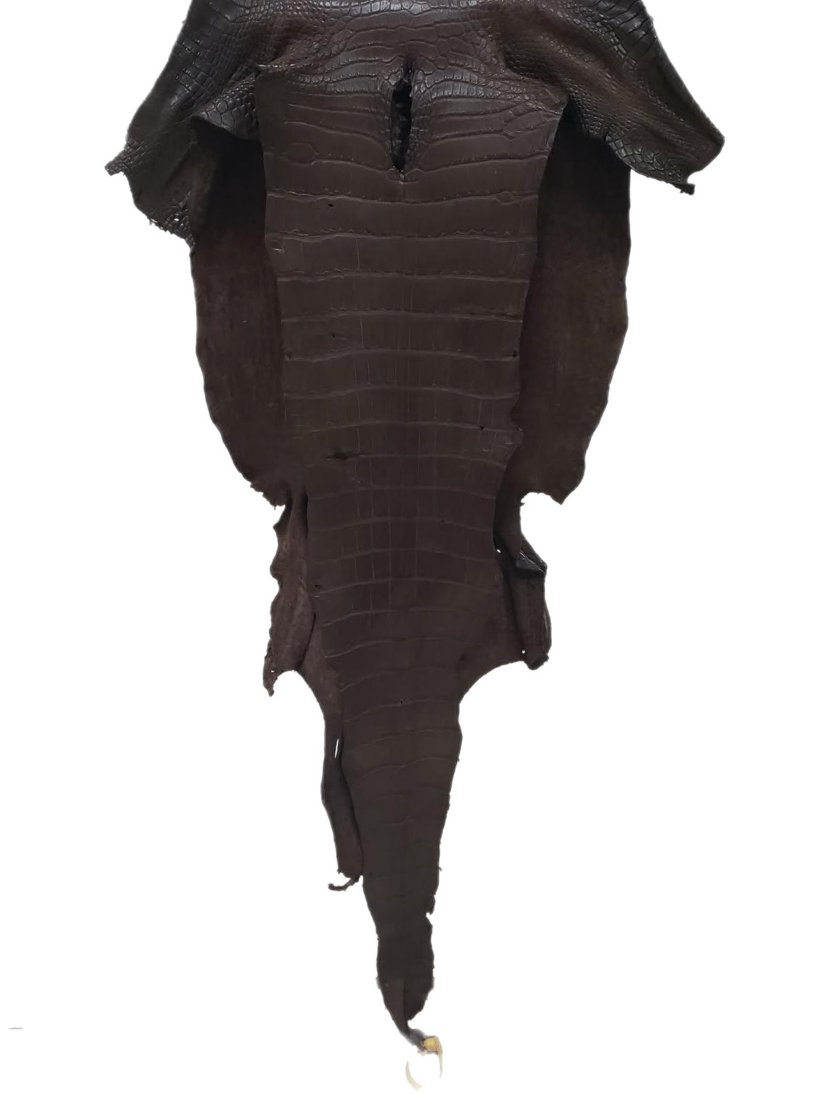 43 cm Grade 3/4 Chocolate Matte Wild American Alligator Leather - Tag: LA23-0028454