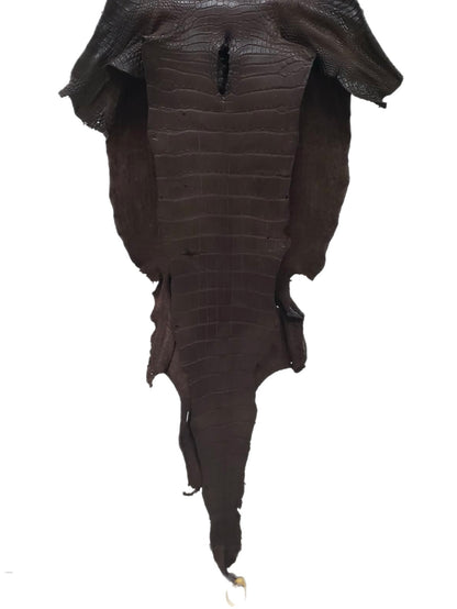 43 cm Grade 3/4 Chocolate Matte Wild American Alligator Leather - Tag: LA23-0028454