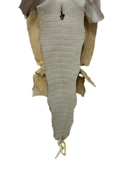 36 cm Grade 2/3 Dune Matte Wild American Alligator Leather - Tag: LA25-0009843