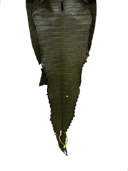 30 cm Grade 2/3 Olive Matte Farm-Raised American Alligator Leather - Tag: FL22-0030376