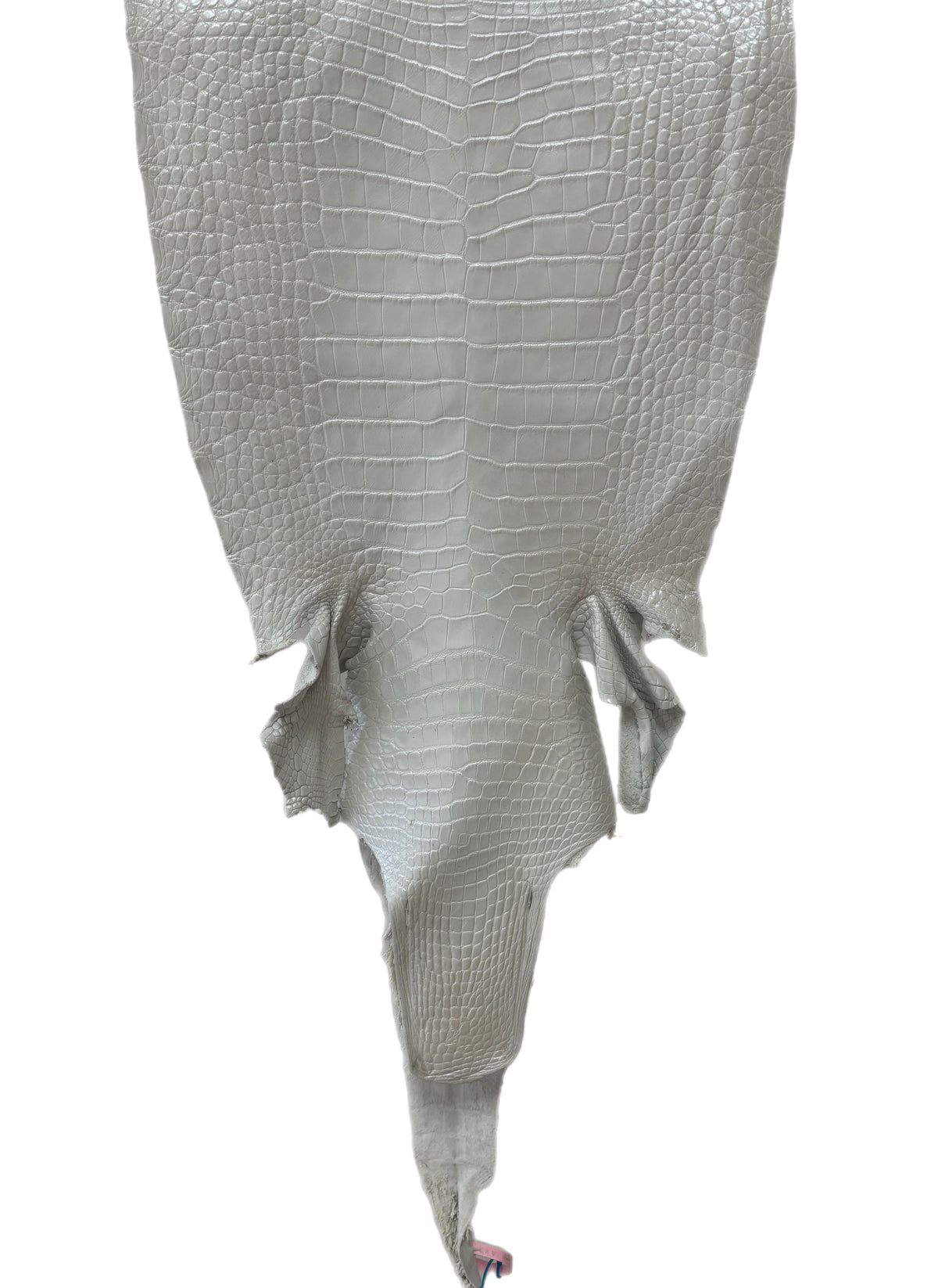 42 cm Grade 1/2 White Pearl Matte Wild American Alligator Leather - Tag: LA18-0038542