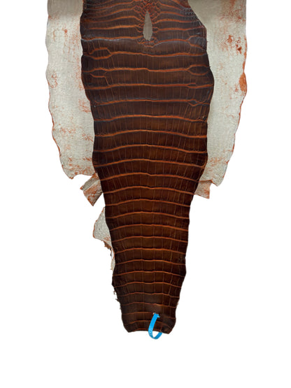 35 cm Grade 1/2 Sienna Matte Wild American Alligator Leather - Tag: ESRE-0050794