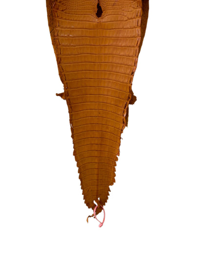 29 cm Grade 1/2 Buttercup Matte Farm-Raised American Alligator Leather - Tag: FL21-0023972