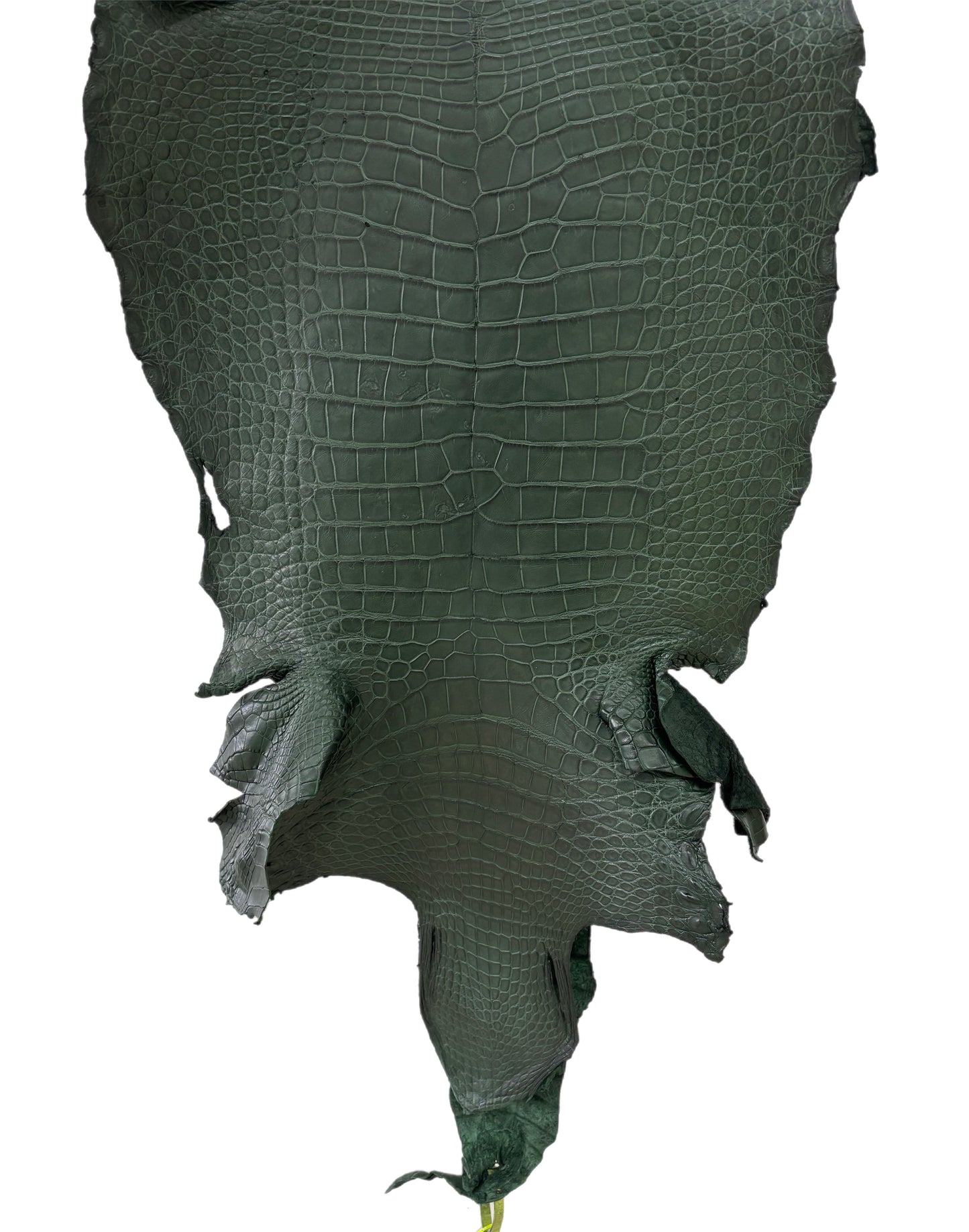 41 cm Grade 4/5 Forest Green Matte Wild American Alligator Leather - Tag: LA22-0021071