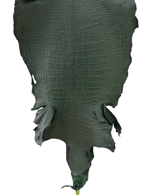 41 cm Grade 4/5 Forest Green Matte Wild American Alligator Leather - Tag: LA22-0021071