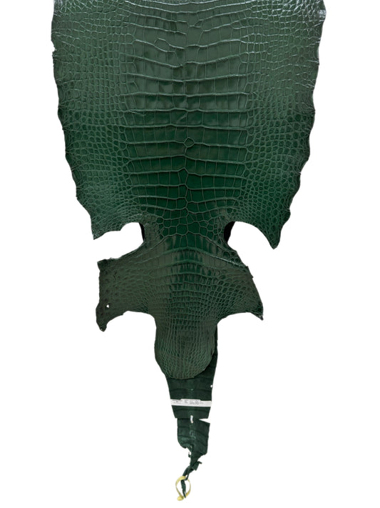 44 cm Grade 1/2 Forest Green Millennium Wild American Alligator Leather - Tag: LA16-0035625