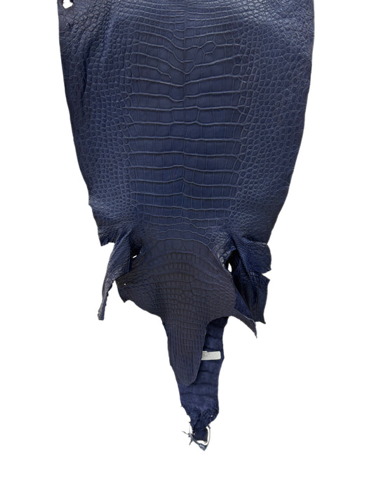 37 cm Grade 2/3 Navy Blue Desert Wild American Alligator Leather - Tag: LA23-0021486