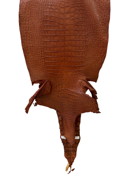 37 cm Grade 2/3 Cognac Matte Wild American Alligator Leather - Tag: LA23-0027020