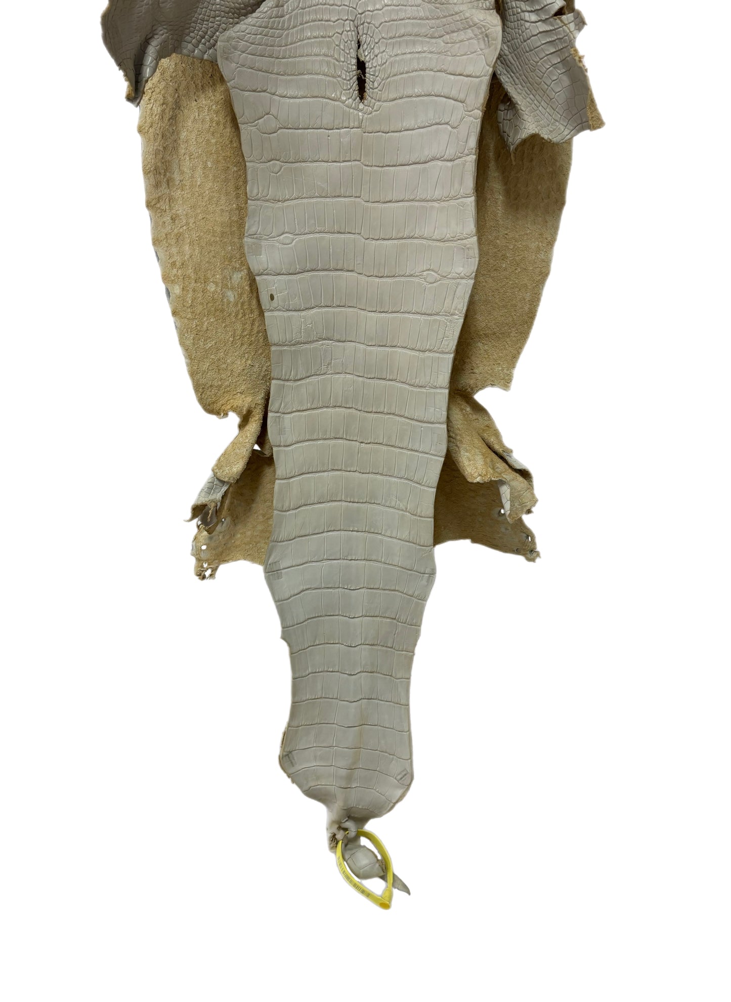 35 cm Grade 1/2 Dune Matte Wild American Alligator Leather - Tag: LA25-0009873