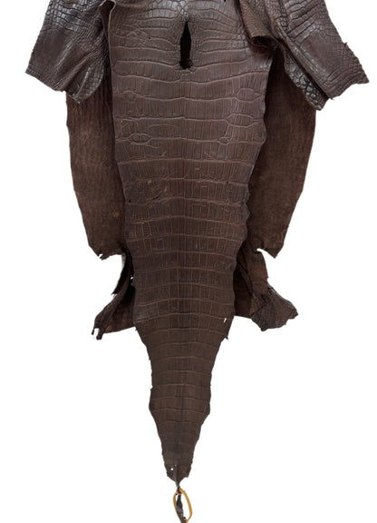 44 cm Grade 3/4 Chocolate Matte Wild American Alligator Leather - Tag: LA23-0027722