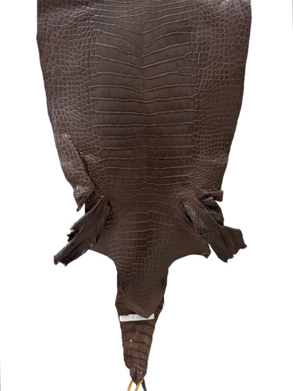 43 cm Grade 3/4 Chocolate Matte Wild American Alligator Leather - Tag: LA23-0030888