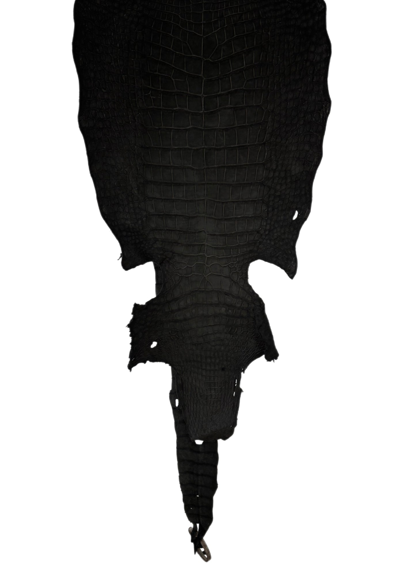 36 cm Grade 2/3 Black Nubuck Wild American Alligator Leather - Tag: LA23-0001295
