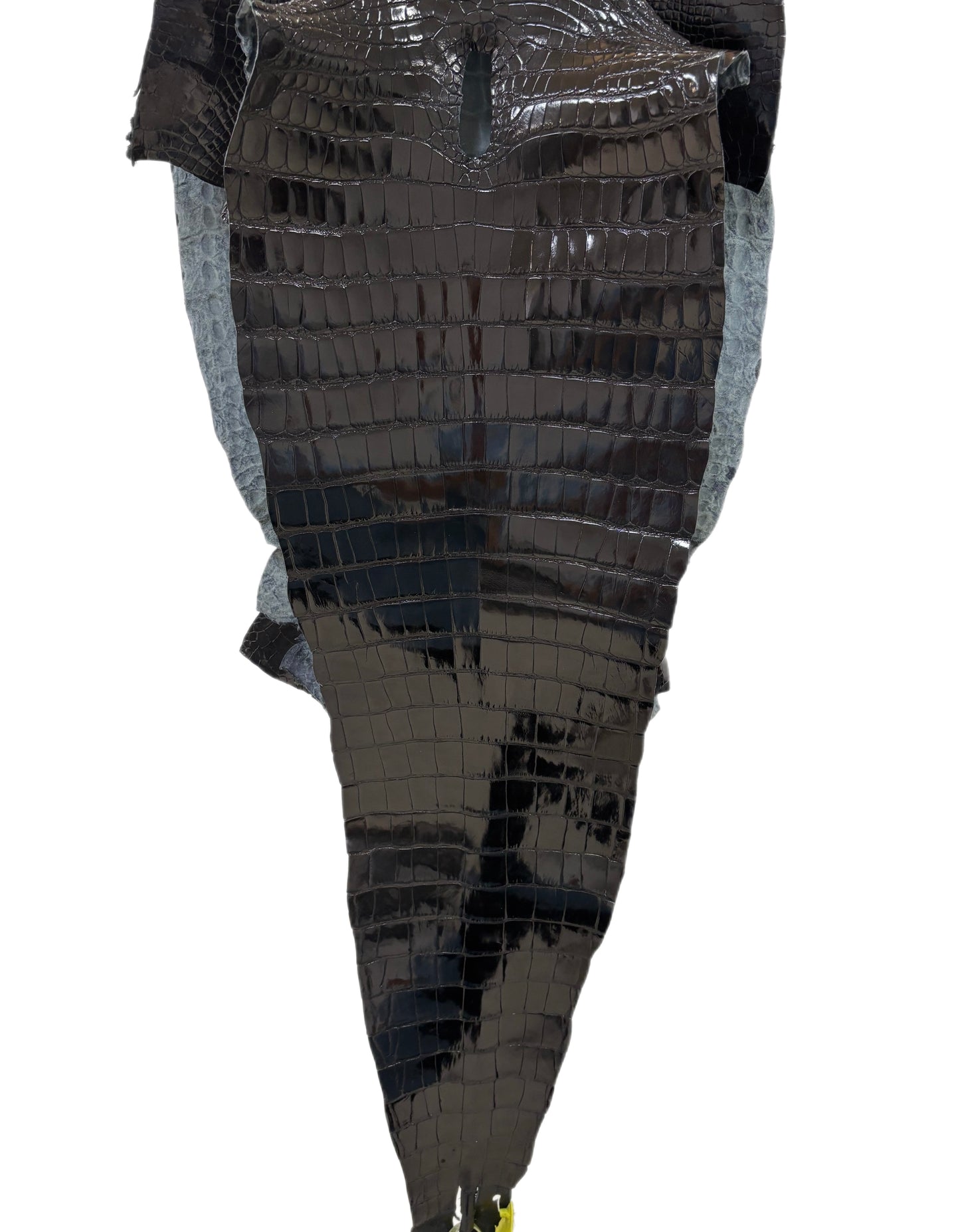 36 cm Grade 1/2 Black Glazed Farm-Raised American Alligator Leather - Tag: GA13-0021214