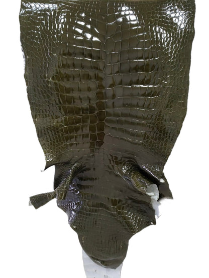 50 cm Grade 3/4 Olive Glazed Wild American Alligator Leather - Tag: LA23-0015041