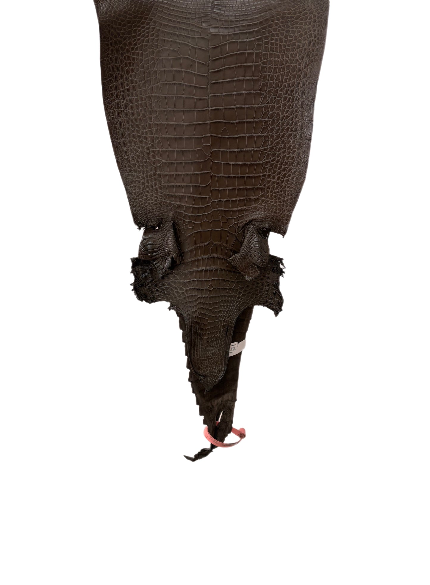 26 cm Grade 1/2 Nicotine Matte Farm-Raised American Alligator Leather - Tag: FL21-0024683