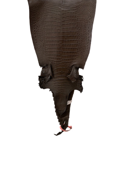 26 cm Grade 1/2 Nicotine Matte Farm-Raised American Alligator Leather - Tag: FL21-0024683