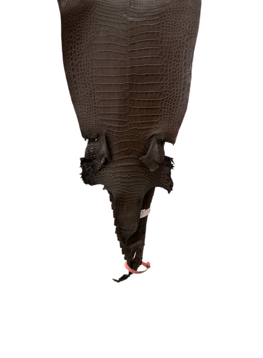 26 cm Grade 1/2 Nicotine Matte Farm-Raised American Alligator Leather - Tag: FL21-0024683