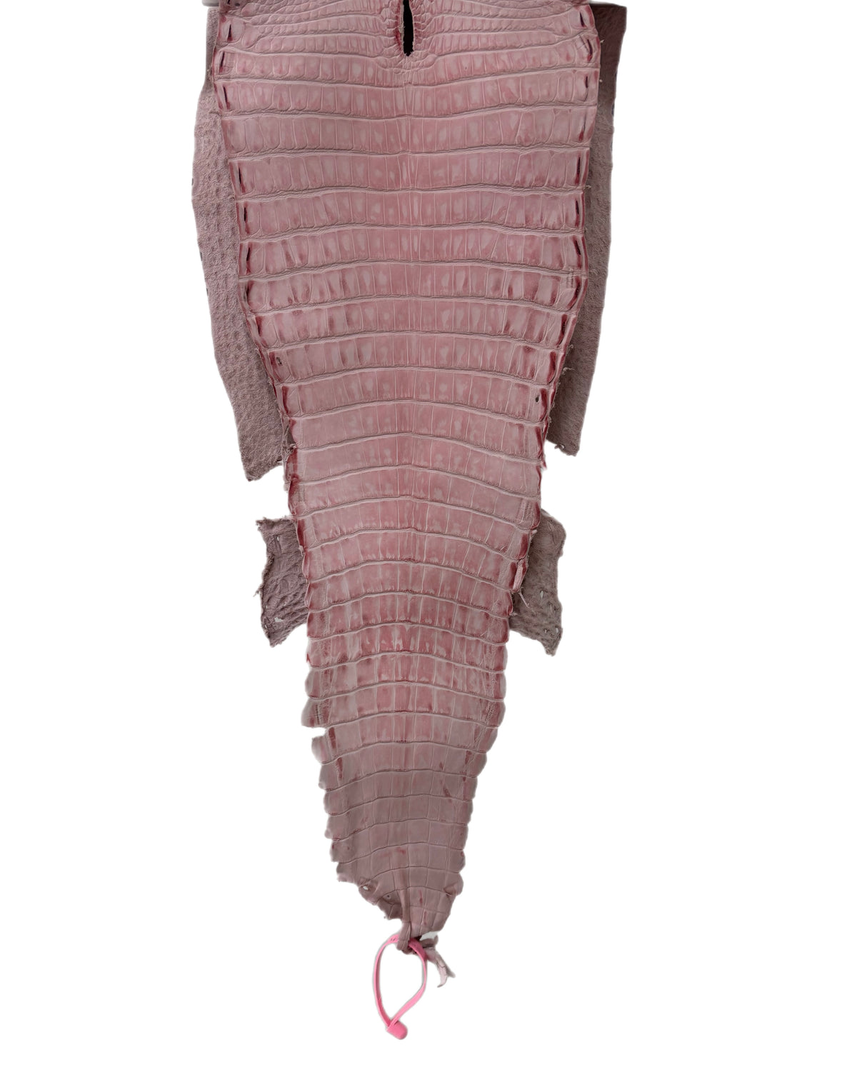 New Color and Finish! 29 cm Grade 1/2 Light Pink Nubuck Farm-Raised American Alligator Leather - Tag: FL21-0024762