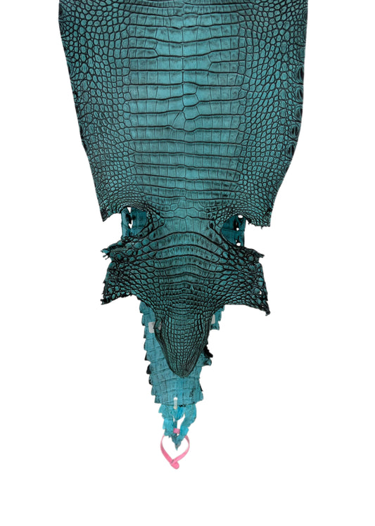 27 cm Grade 1/2 Turquoise Antique Farm-Raised American Alligator Leather - Tag: FL21-0025112
