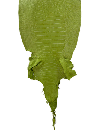 37 cm Grade 3/4 Chartreuse Matte Wild American Alligator Leather - Tag: LA23-0001987